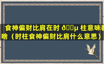 食神偏财比肩在时 🌵 柱意味着啥（时柱食神偏财比肩什么意思）